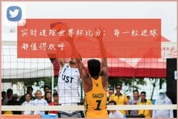 实时追踪世界杯比分：每一粒进球都值得欢呼