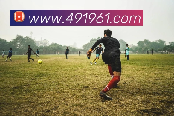 熊猫体育在线登录入口平台生态图